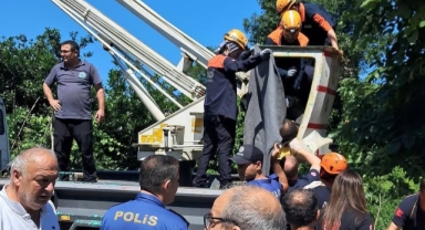 Rize'de ıhlamur toplarken elektrik akımına kapılan vatandaş hayatını kaybetti