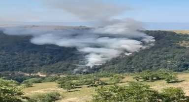 Samsun'da ormanlık alanda çıkan yangında 15 dönüm alan zarar gördü