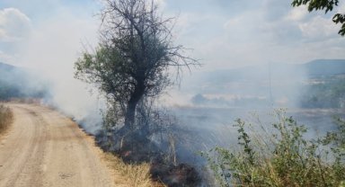 Sinop'ta çıkan anız yangını söndürüldü