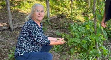 Tirebolu'da Maviyemiş Hasadı Yerinde İncelendi