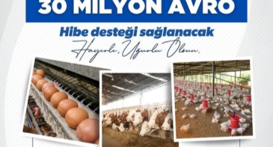 TKDK'dan 30 Milyon Avroluk IPARD III Çağrısı
