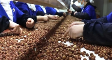 Türkiye fındık ihracatından 10 ayda 2,2 milyar doların üzerinde gelir sağladı