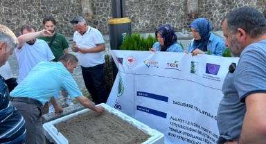 Yağlıdere'de çiftçilere salep yetiştiriciliği eğitimi 