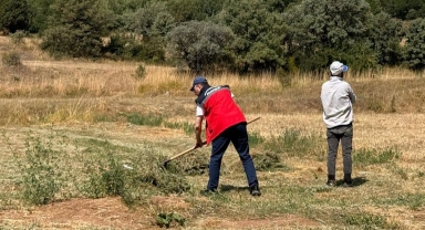 Alucra’da Hasat Sezonuna Sahada Takip 