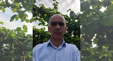 Başkan Karan'dan Manipülasyon Tepkisi: Fındık Piyasasında Fiyat Makası Büyüyor