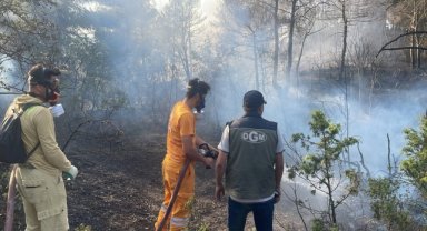 Bolu'da ormanlık alanda çıkan yangın kontrol altına alındı