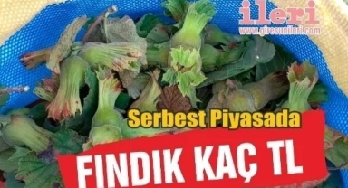 Bugün fındık kaç lira? 