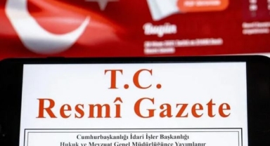 Çocuk Koruma Kanunu ile Bazı Kanunlarda Değişiklik Yapılmasına Dair Kanun Resmi Gazete'de