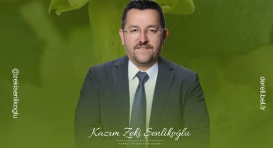 Dereli’de Yeşil Altın İçin Hasat Vakti