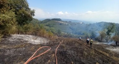 Fındık bahçesinde çıkan yangın ormana sıçramadan söndürüldü