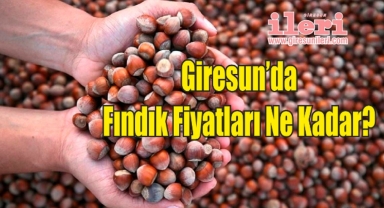 Giresun'da Bugün Fındık Kaç Lira?