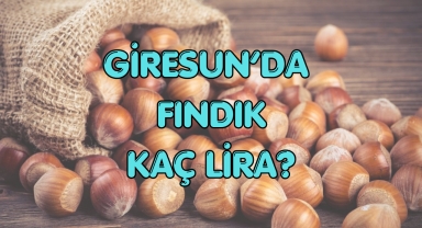 Giresun'da Bugün Fındık Kaç Lira?