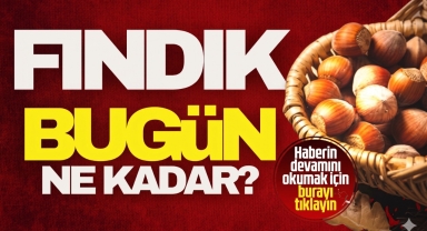 Giresun'da Bugün Fındık Kaç Lira?