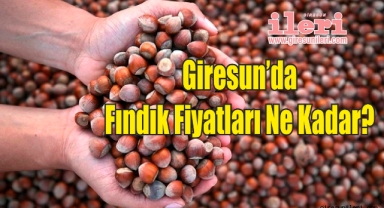 Giresun'da Bugün Fındık Kaç Lira?