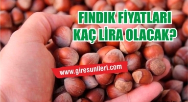 Giresun'da fındık fiyatları bugün ne kadar?