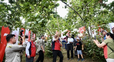 Giresun'da fındık hasadı etkinliği düzenlendi