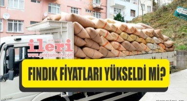 Giresun'da fındık piyasasında son durum… Fındık fiyatları yükseldi mi?