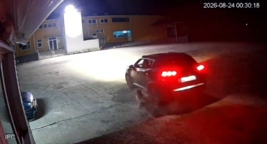 Giresun’da köpeği ezen adam vicdanları yaraladı