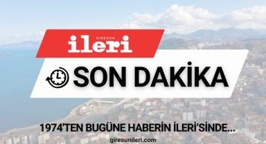 Giresun'da panelvan şarampole devrildi, 1 kişi hayatını kaybetti