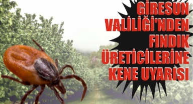 Giresun Valiliği’nden fındık üreticilerine kene uyarısı