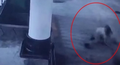 Görele’de Tehlikeli İddia! Camide Şaşkına Çeviren Anlar Kamerada