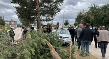 Orta refüjdeki ağaca çarpan otomobildeki 3 kişi yaralandı