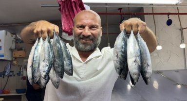 Sezonun ilk palamutları tezgahlardaki yerini aldı