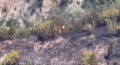 Sinop'ta ormanlık alanda çıkan yangın söndürüldü