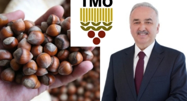 TMO 2026/27 Fındık Alım Fiyatlarını Açıkladı!