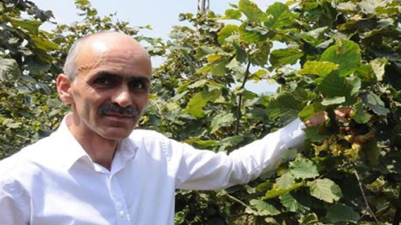 Başkan Karan'dan Fındık Fiyatı İçin 5 Acil Tedbir Çağrısı