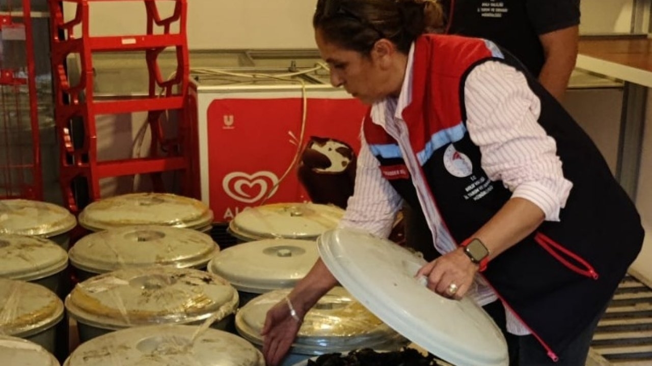 Bolu'da ele geçirilen 650 kilogram bozuk midye imha edildi