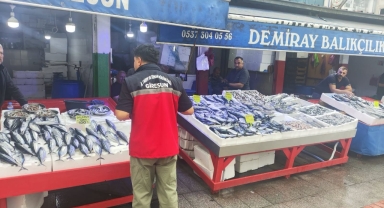 Giresun'da Balık Satış Noktalarına Denetim