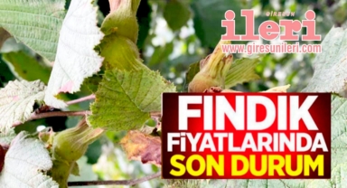 Giresun'da Bugün Fındık Kaç Lira?