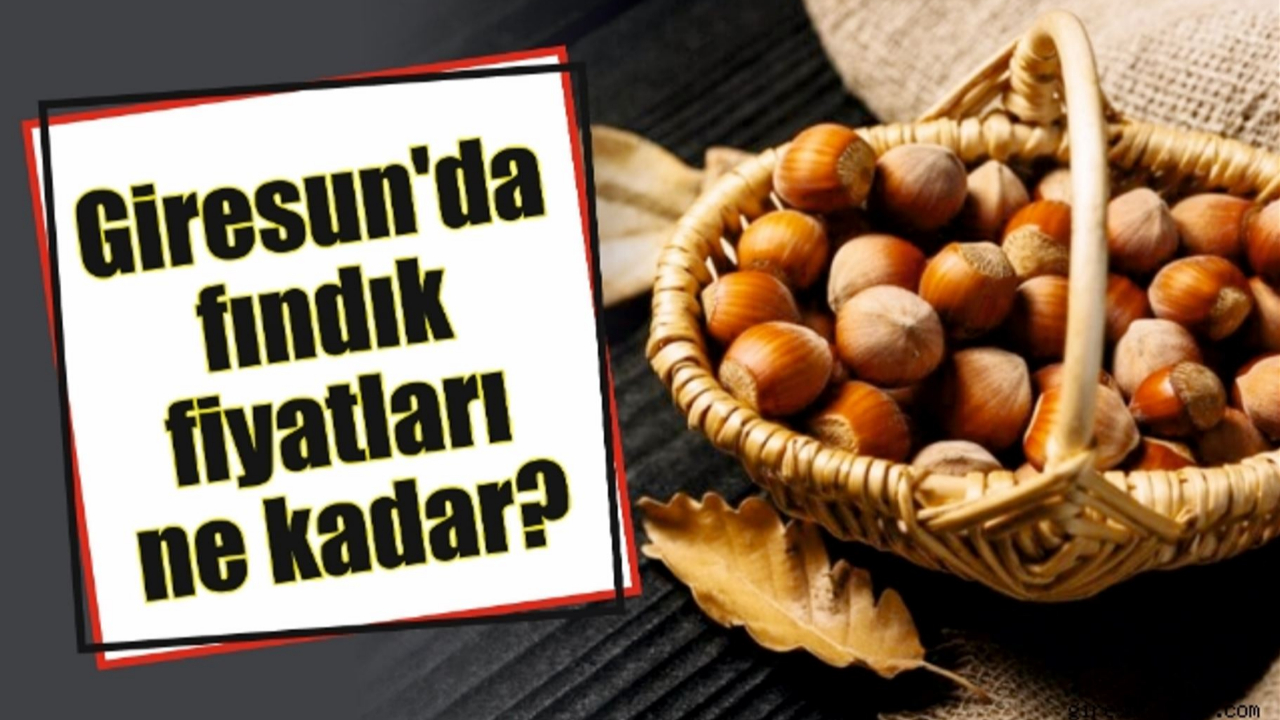 Giresun'da fındık fiyatları bugün ne kadar?
