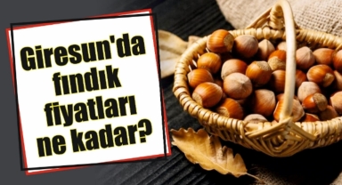 Giresun'da fındık fiyatları bugün ne kadar?