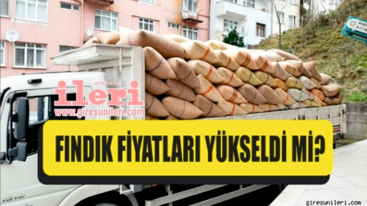 Giresun'da fındık fiyatları bugün ne kadar? 