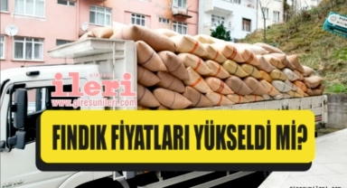 Giresun'da fındık fiyatları haftaya nasıl başladı? Fındık fiyatları ne kadar?