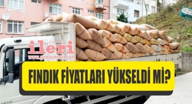 Giresun'da fındık fiyatları yükseldi mi? Fındık fiyatları kaç TL?