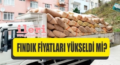 Giresun'da fındık piyasasında son durum… Fındık fiyatları ne kadar?