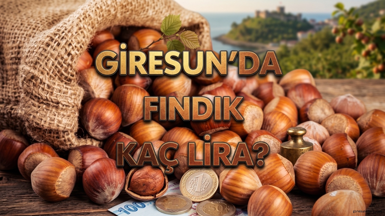 Giresun'da fındık piyasasında son durum… Fındık fiyatları ne kadar?