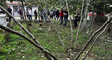 Giresun’da Fındık Üreticilerine Budama Eğitimi