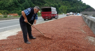 Giresun’da Fındıkta Dengeler Değişti: Üretici TMO’ya Yöneldi