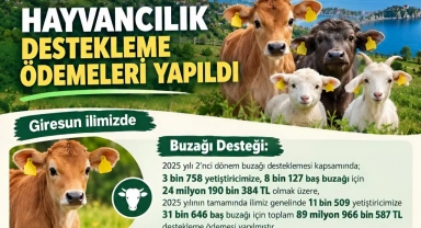 Giresun’da Hayvancılık Destek Ödemeleri Hesaplara Yatırıldı
