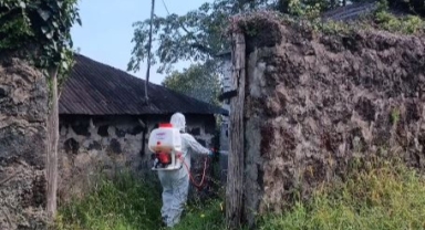 Giresun’da Kahverengi Kokarcaya Karşı Kışlak Öncesi Mücadele Başladı