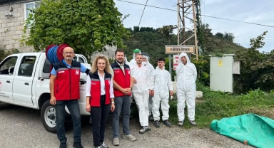 Giresun’da Kahverengi Kokarcaya Karşı Kışlak Öncesi Mücadele Sürüyor