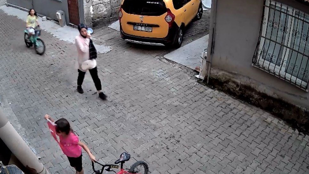 Giresun'da küçük Nehir'in bayrak hassasiyeti kamerada