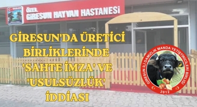 Giresun'da Üretici Birliklerinde 'Sahte İmza' ve 'Usulsüzlük' İddiası