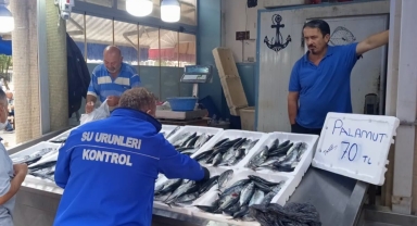 Giresun'da Yeni Av Sezonu Öncesi Su Ürünleri Denetimleri
