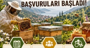Giresun İl Tarım ve Orman Müdürlüğü'nden Arıcılara Duyuru! Başvurular Başladı
