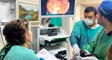 Giresun Prof. Dr. A. İlhan Özdemir Devlet Hastanesi'nde İleri Endoskopik Tedavi Uygulamaları